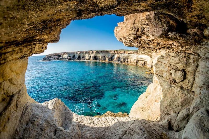 -65 Percent Off - Center Agia Napa